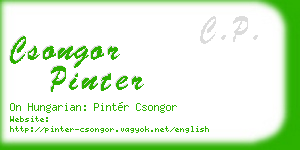 csongor pinter business card